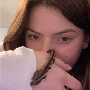 Meet your Posher, Molly